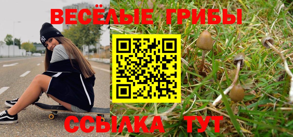 Галлюциногенные грибы GOLDEN TEACHER  Галлюциногенные грибы Psilocybine cubensis  Ишимбай  Вход с VPN 